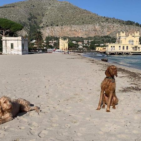 Due Cani Apartment Palermo Exteriör bild